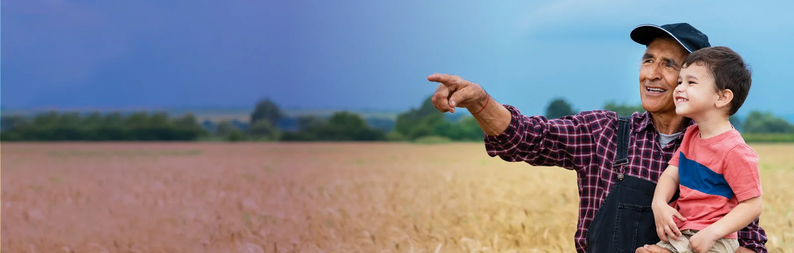 elderly man holds grandson on a farm and points